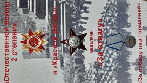 Орден Отечественной войны 2 степени, орден Красной звезды, медаль За отвагу, медаль За победу над Германией.