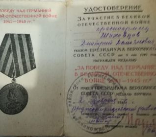 Медаль за Победу над Германией в Отечественной войне 1941-1945 г.г.