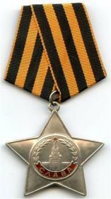 Медаль "За боевые заслуги", Орден "Слава 3 степени", медаль "За победу над Германией"