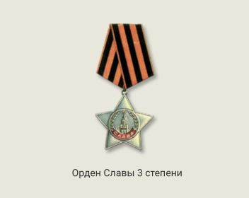 Ордена славы  первой, второй и третьей степени, медаль « За отвагу»