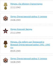 Медаль «За оборону Сталинграда» , Орден Отечественной войны 2 степени, Орден Красной Звезды, Медаль «За победу над Германией»