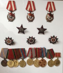 Три ордена Красного Знамени, три ордена Отечественной войны, два ордена Красной Звезды, 14 медалей, в т.ч. медаль «За отвагу».