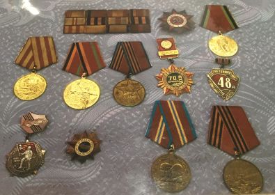 Медаль «За отвагу», Медаль «За оборону Москвы», орден Великой Отечественной войны