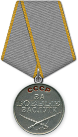 медаль: За Боевые Заслуги