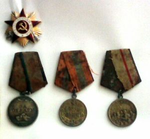 Медаль «За оборону Сталинграда» , Медаль «За отвагу», медаль "За взятие Будапешта", Орден Отечественной войны I степени