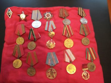 Медаль за взятие Варшавы, медаль «За отвагу», орден Красной звезды, медаль «За взятие Берлина»