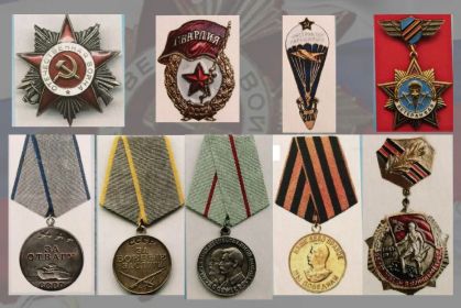 Орден Отечественной войны II степени (1985); Медаль "За боевые заслуги" Медаль «За отвагу» Медаль «За победу над Германией в Великой Отечественной войне 1941-19...