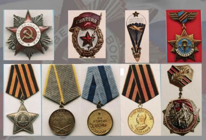 рден Славы III степени, Медаль «За боевые заслуги» Медаль «За взятие Вены» Медаль «За победу над Германией в Великой Отечественной войне 1941-1945 гг.»