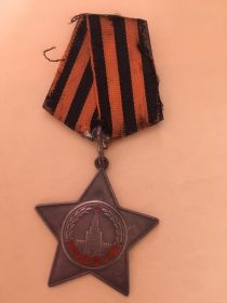 Орден Славы IIIстепени