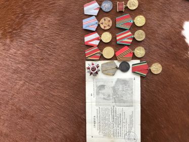 За боевые заслуги, За Отвагу, За Победу над Германией в Великой Отечественной Войне 1941-1945гг., За Освобождение Варшавы, орден Красной Звезды, грамота За осво...