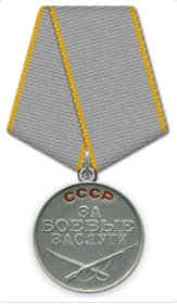 Медаль "За боевые заслуги", медаль «За оборону Кавказа», медаль «За победу над Германией в Великой Отечественной войне 1941–1945 гг.»