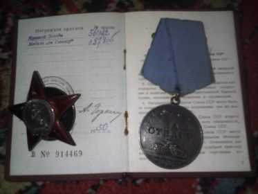 Медаль за отвагу, орден Красной Звезды