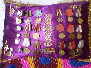 Орден Отечественной войны I степени Медаль «За победу над Германией в Великой Отечественной войне 1941–1945 гг.» Орден Славы III степени