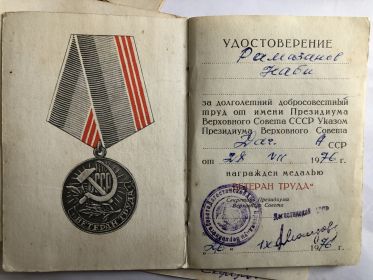 Медаль «Ветеран Труда»