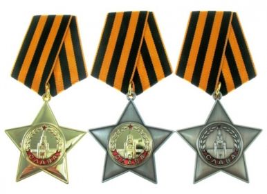 Орден Славы 1,2,3 степени, Медаль за отвагу.