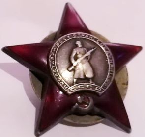 орден Красной звезды, медаль "За боевые заслуги", медаль "За победу над Германией"