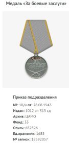 Медаль «За боевые действия»