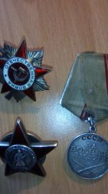 Орден Красной звезды, Орден Отечественной войны, Медаль за боевые заслуги,  Медаль за взятие Берлина.