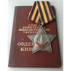 Орден Славы III степени, Медаль «За победу над Германией в Великой Отечественной войне 1941–1945 гг.»