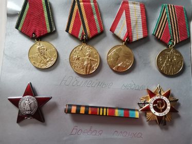 Орден Красной Звезды, Орден Отечественной войны 1 степени, медаль за победу над Гермаией
