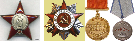 орден Красной звезды, орден Отечественной войны первой степени, медаль за боевые заслуги, медаль за отвагу, медали за взятие городов (различных).