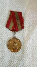"За победу над Германией в Великой Отечественной войне 1941-1945 гг."