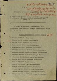 Орден "Отечественной войны 1 степени"