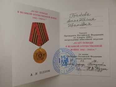Юбилейная медаль «65 лет Победы в Великой Отечественной войне 1941-1945 гг.».