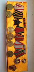Орден Красной звезды, медаль за оборону Ленинграда, медаль за победу над Германией