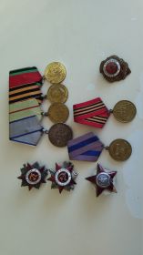 орден Красного знамени, орден Великой отечественной войны , медаль за Отвагу , медаль за взятие Берлина , медаль за освобождение Праги