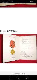 Медаль Жукова