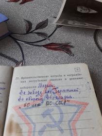 Орден отечественной воины второй степени.