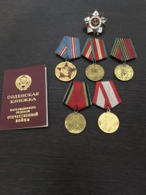 Орден Отечественной войны 2 степени. Медаль за оборону Ленинграда, Медаль за победу над Германией.