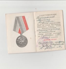 Медаль  Ветеран Труда  за долголетний добросовестный труд от имени Президиума Верховного Совета СССР от 3 декабря 1980 года.