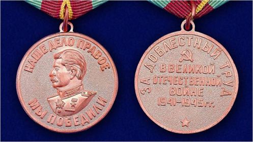 Медаль за доблестный труд