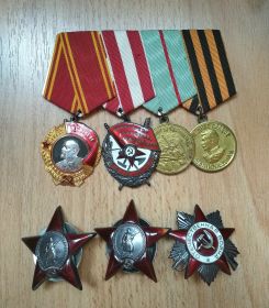 Два ордена Красной Звезды, орден Красного Знамени, орден Ленина, медали За оборону Сталинграда, за победу над Германией, орден Отечественной Войны II степени