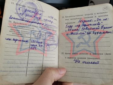 Медали: "За победу над Германией", "30 лет Советской Армии и Флота", "За взятие Будапешта".
