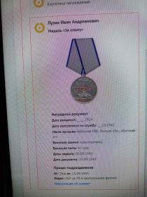 Медаль  "За  отвагу"