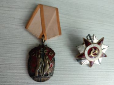Медали за победу над Германией и за победу над Японией, орден Отечественной Войны IIст.,орден Знак Почета.