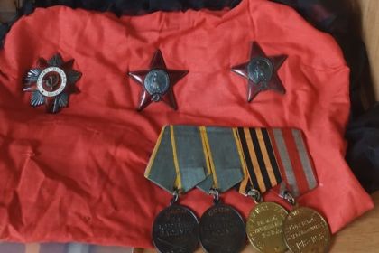 2 ордена Красной Звёзды, Орден Отечественной Войны, Орден за Боевые Заслуги