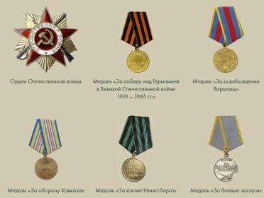 Медаль «За боевые заслуги»,  Медаль «За оборону Кавказа»,  Медаль «За освобождение Варшавы», Медаль «За взятие Кёнигсберга», Медаль «За победу над Германией в В...