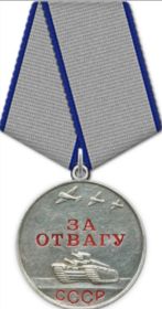 ордены «Отечественной войны I и II степени»; орденом «Красной Звезды»; медаль «За отвагу»; 11 юбилейных медалей,медаль "За отвагу"