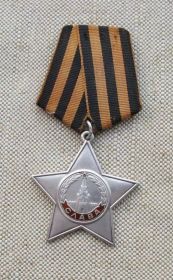 Орден Славы 3 степени, орден Отечественной войны 1 степени, медали " За оборону Сталинграда", За Победу над Германией"