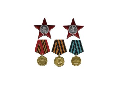 Два ордена красной звезды,Медаль «За взятие Кенигсберга»,Медаль «За взятие Берлина»,Медаль «За победу над Германией в Великой Отечественной войне 1941–1945 гг.»
