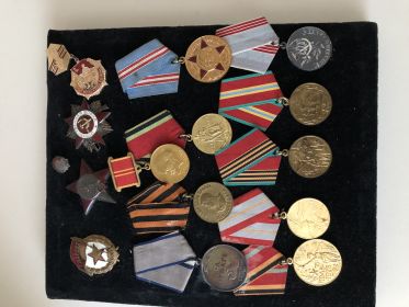 Медаль за Отвагу, орден Красной Звезды и Медаль за победу над Германией, Нагрудный знак(гвардия)