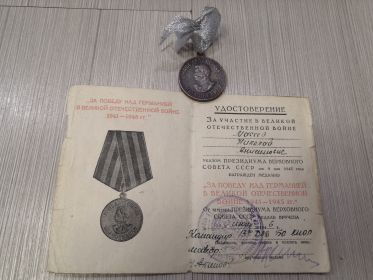 Медаль за победу над Германией в Великой Отечественной Войне