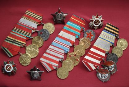 Награждён шестью боевыми орденами:  двумя орденами Красного Знамени, двумя орденами Отечественной войны (1 и 2 степени), двумя орденами Красной Звезды, медалями...