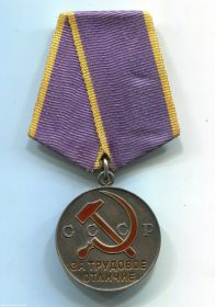 Медалью За трудовое отличие