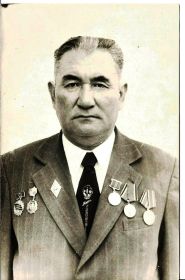 За победу над Германией, за Доблестный труд, 25 лет Победы в ВОВ