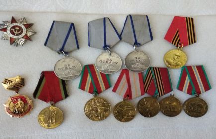 Три медали " За отвагу", орден Отечественной войны 2 степени, медаль Жукова, юбилейные медали
